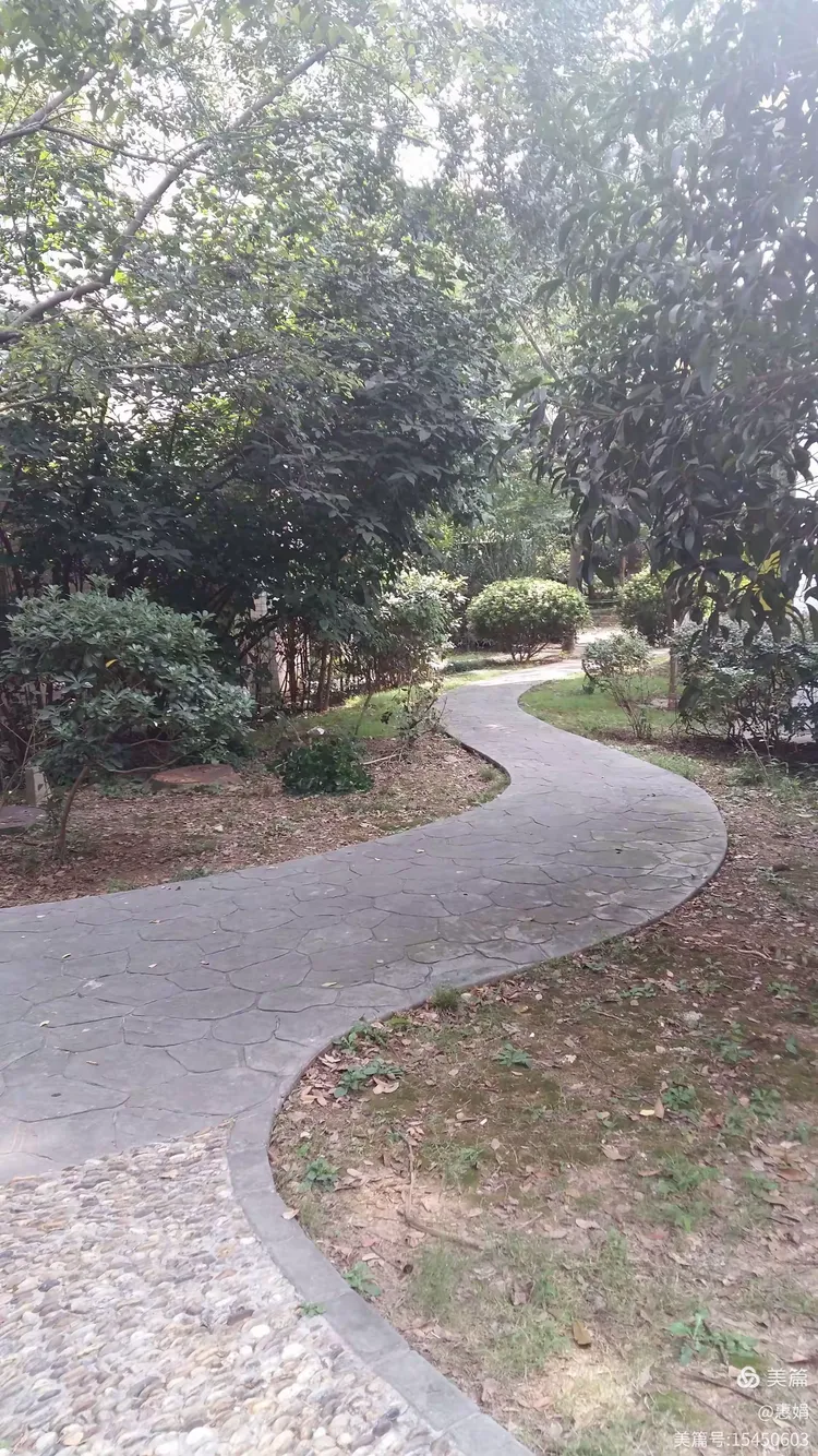 第八节：s型构图课程与作业